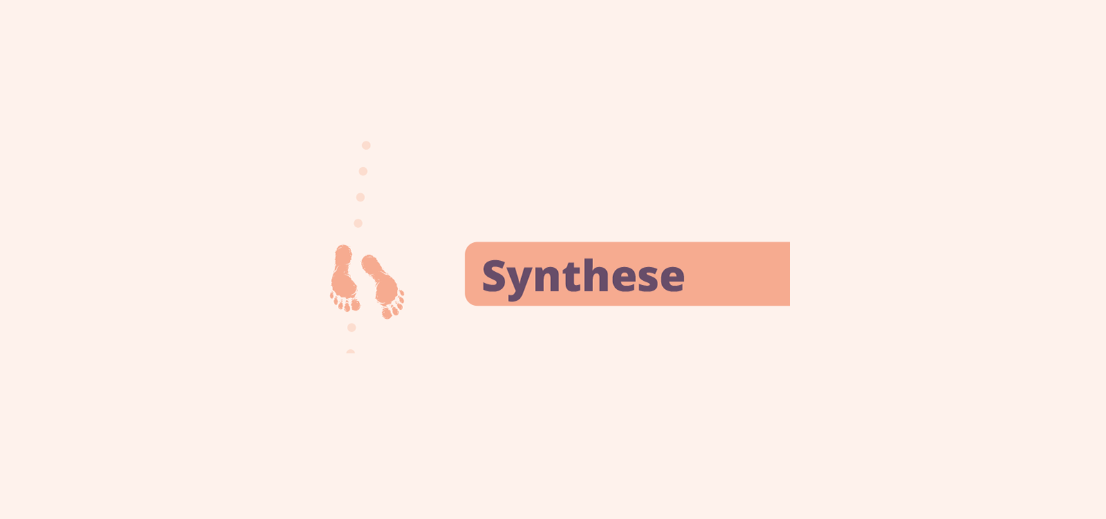 SO_Sira_synthese-OK