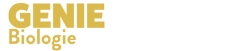 Method logo