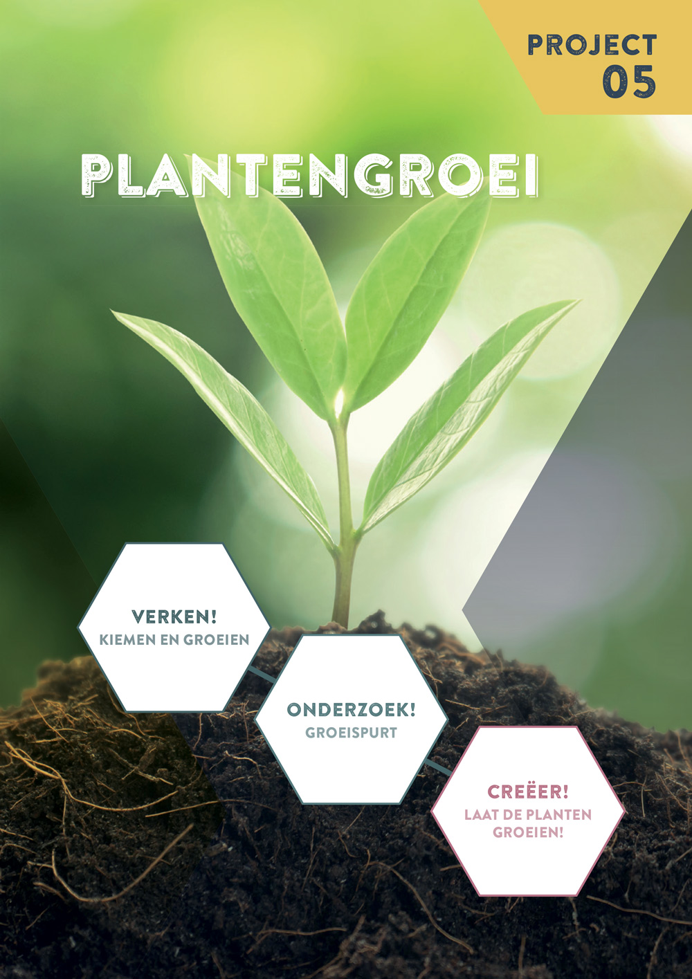 STEM-project Plantengroei bij WONDER voor de basisoptie wetenschappen in jaar 2