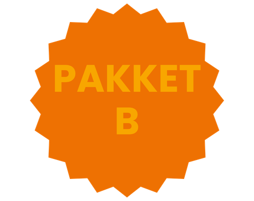 Secundair onderwijs - Boektoppers - Pakket B