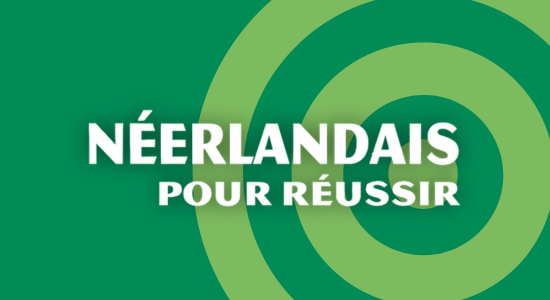 Néerlandais pour réussir