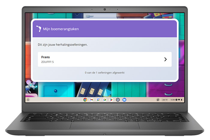 Boemerang, de nieuwe automatiseringstaken in Bingel