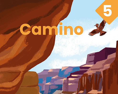 Cover van Camino leerjaar 5