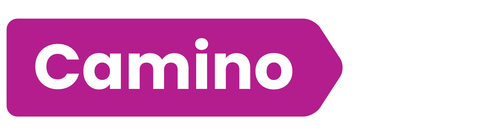 Logo van Camino - Godsdienstmethode