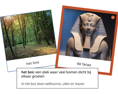 Voorbeeld van woordkaarten