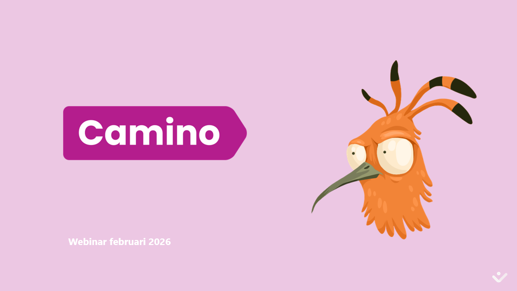 Webinar Camino