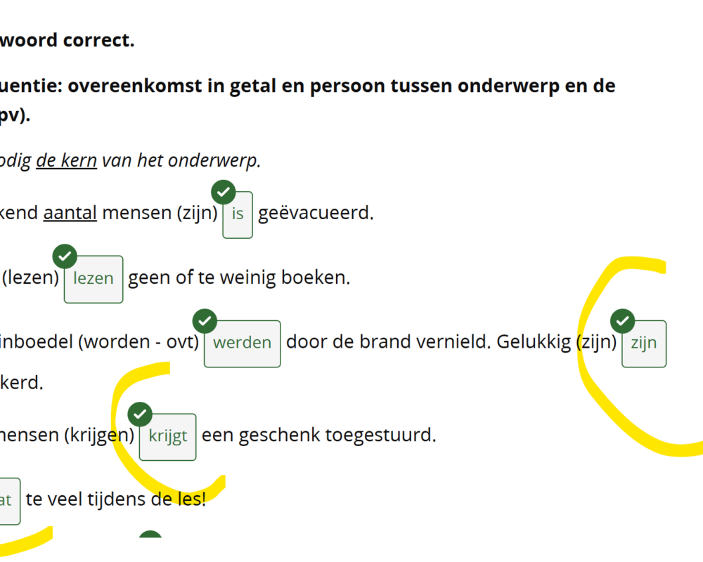 SO_iDiddit_oplossingen delen_7