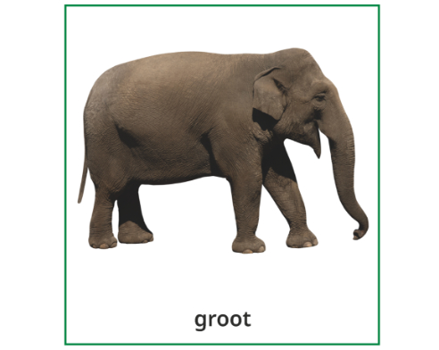 Woordkaarten voor Rekenroute Kleuters